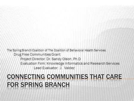 The Spring Branch Coalition of The Coalition of Behavioral Health Services Drug Free Communities Grant Project Director: Dr. Sandy Olson, Ph.D Evaluation.