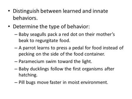 Distinguish between learned and innate behaviors. Determine the type of behavior: – Baby seagulls pack a red dot on their mother’s beak to regurgitate.