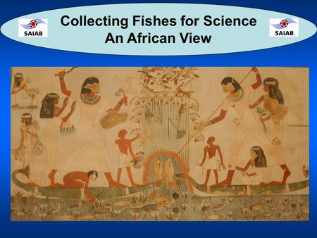 Collecting Fishes for Science An African View. Ethics Common sense – health and safety Collections and ‘Bioprospecting’ Biodiversity Informatics – “knowledge.