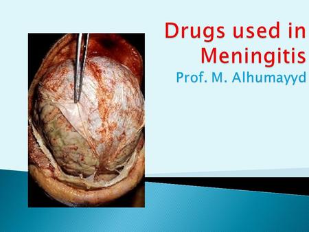  At the end of the lecture, students should :  Describe briefly common types of meningitis  Describe the principles of treatment  List the name of.