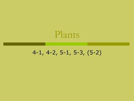 Plants 4-1, 4-2, 5-1, 5-3, (5-2).