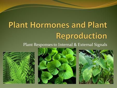 Plant Responses to Internal & External Signals. 3 Steps of the Signal Transduction Pathway: 1. Reception—Cell signals are detected by receptors that undergo.