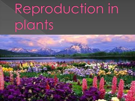  Reproduction : is a characteristic of living organisms which is essential for continuity of life due to production of new individuals.  Types of reproduction: