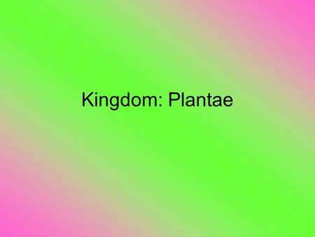 Kingdom: Plantae.