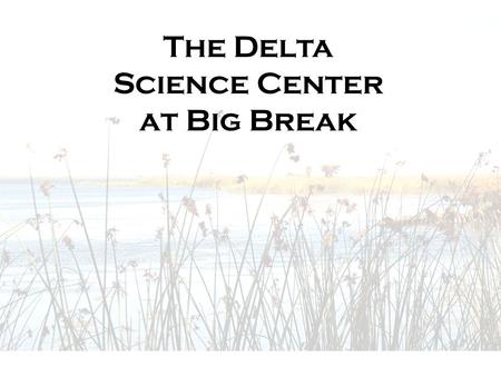 The Delta Science Center at Big Break. The Delta Science Center at Big Break MISSION Recreation Education Restoration Research.
