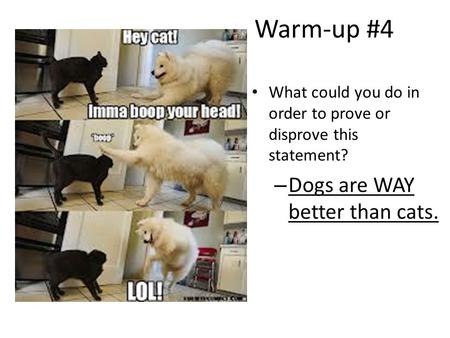 Warm-up #4 What could you do in order to prove or disprove this statement? – Dogs are WAY better than cats.