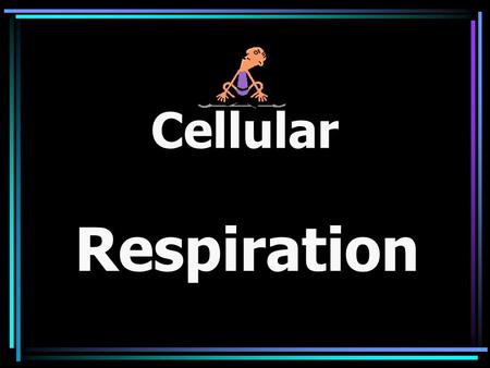 Cellular Respiration. The transfer of stored energy in food molecules to a form usable by the organism Involves the exchange of gases between the organism.