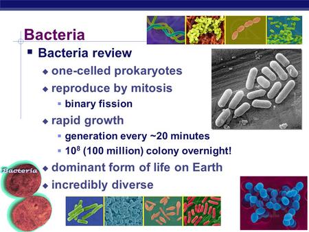 AP Biology Bacteria  Bacteria review  one-celled prokaryotes  reproduce by mitosis  binary fission  rapid growth  generation every ~20 minutes 