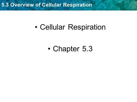 5.3 Overview of Cellular Respiration Cellular Respiration Chapter 5.3.