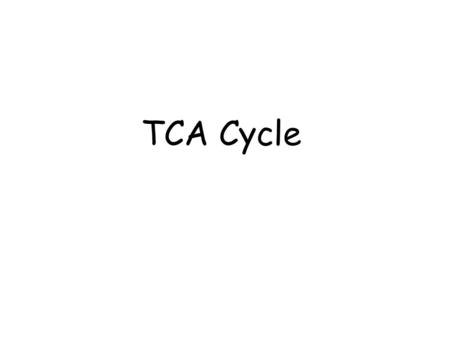 TCA Cycle.