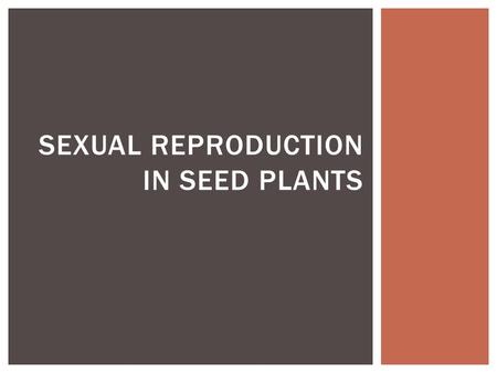 SEXUAL REPRODUCTION IN SEED PLANTS. I. REPRODUCTIVE STRUCTURES OF SEED PLANTS.