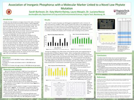 Association of Inorganic Phosphorus with a Molecular Marker Linked to a Novel Low Phytate Mutation Sarah Burleson, Dr. Katy Martin Rainey, Laura Maupin,