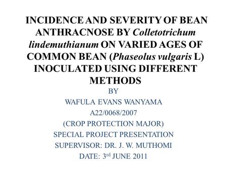 INCIDENCE AND SEVERITY OF BEAN ANTHRACNOSE BY Colletotrichum lindemuthianum ON VARIED AGES OF COMMON BEAN (Phaseolus vulgaris L) INOCULATED USING DIFFERENT.