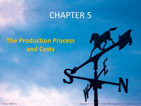 The Production Process and Costs