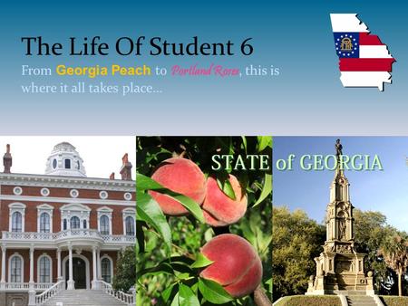 The Life Of Student 6 From Georgia Peach to Portland Roses, this is where it all takes place…