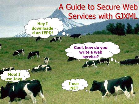 A Guide to Secure Web Services with GJXML Hey I downloade d an IEPD! Cool, how do you write a web service? I use.NET Moo! I use Java.