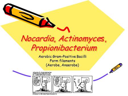 Nocardia, Actinomyces, Propionibacterium Aerobic Gram-Positive Bacilli Form filaments (Aerobe, Anaerobe)