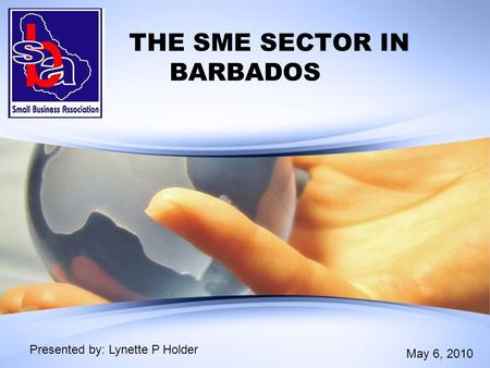 THE SME SECTOR IN BARBADOS Presented by: Lynette P Holder May 6, 2010.