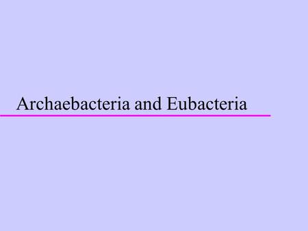 Archaebacteria and Eubacteria Important Features -all are prokaryotes -all have plasmids (small circular packages of DNA) -most have peptidoglycan in.