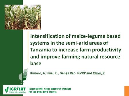 Intensification of maize-legume based systems in the semi-arid areas of Tanzania to increase farm productivity and improve farming natural resource base.