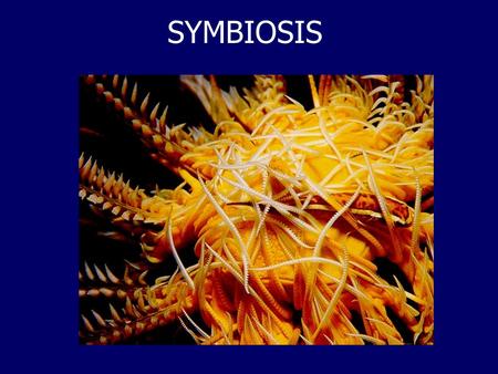 SYMBIOSIS. Definition of Symbiosis Symbiosis is a set of species interactions involving close physical association of participants, and frequently, evidence.