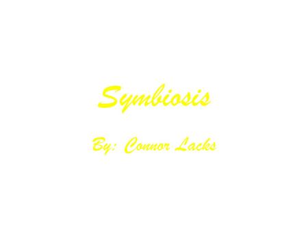Symbiosis By: Connor Lacks. Mutualism Mutualism: A relationship in which both species benefit is called mutualism. The relationship between the saguaro.