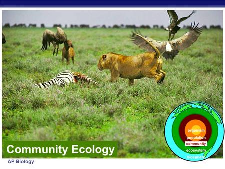 Organism population Community Ecology community ecosystem biosphere.