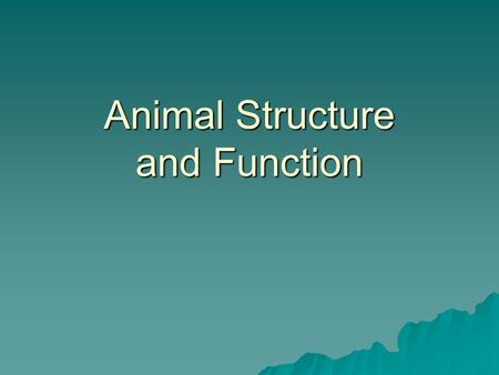 Animal Structure and Function. Tissue Groups of cells with a common structure and function.