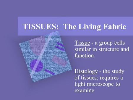 TISSUES: The Living Fabric