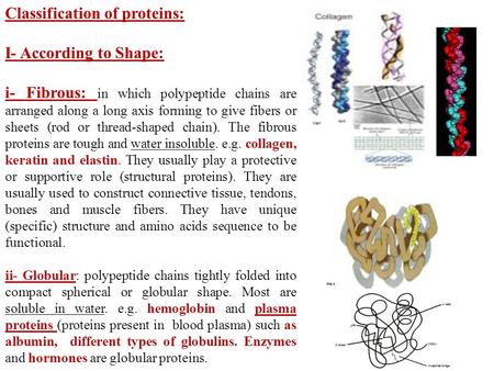 Classification of proteins: I- According to Shape: i- Fibrous: in which polypeptide chains are arranged along a long axis forming to give fibers or sheets.