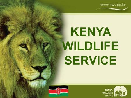KENYA WILDLIFE SERVICE. Large Carnivore Conflict Management in Kenya Implementing National Carnivore Conservation Strategies Charles Musyoki, PhD Kenya.