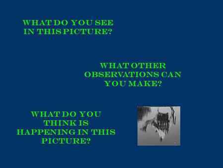 What do you see in this picture? What Other observations can you make? What do you think is happening in this picture?