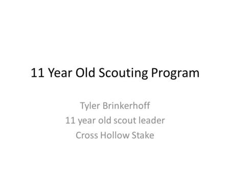 11 Year Old Scouting Program