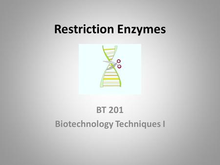 BT 201 Biotechnology Techniques I