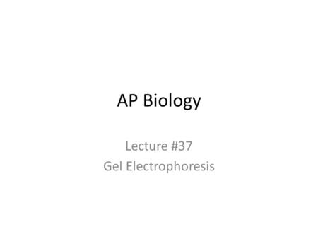 AP Biology Lecture #37 Gel Electrophoresis Uses of genetic engineering Genetically modified organisms (GMO) – enabling plants to produce new proteins.