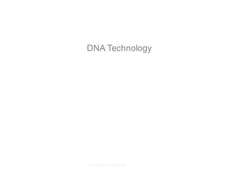 Copyright Pearson Prentice Hall DNA Technology. Copyright Pearson Prentice Hall Selective Breeding Selective breeding allows only those organisms with.