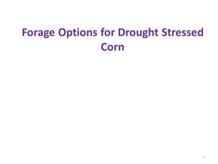 Forage Options for Drought Stressed Corn 1. Options Silage – Reduced nitrates (30-70%) – Improved feeding – Increased harvested material – Moisture level.