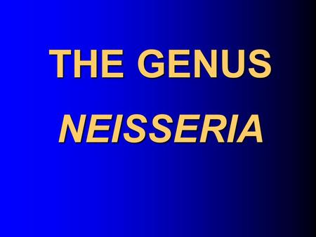 THE GENUS NEISSERIA.