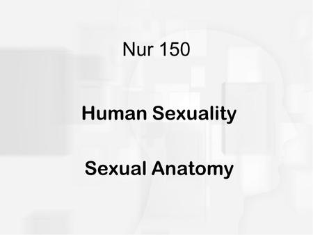Human Sexuality Sexual Anatomy
