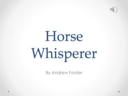 Horse Whisperer By Andrew Forster.