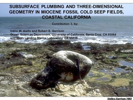SUBSURFACE PLUMBING AND THREE-DIMENSIONAL GEOMETRY IN MIOCENE FOSSIL COLD SEEP FIELDS, COASTAL CALIFORNIA Contribution 3, by: Ivano W. Aiello and Robert.