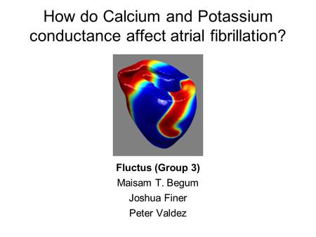 How do Calcium and Potassium conductance affect atrial fibrillation? Fluctus (Group 3) Maisam T. Begum Joshua Finer Peter Valdez.
