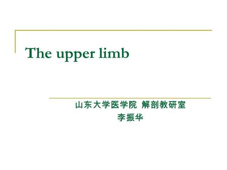 The upper limb 山东大学医学院 解剖教研室 李振华.