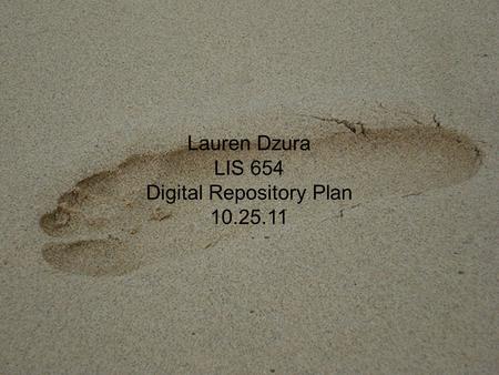 Lauren Dzura LIS 654 Digital Repository Plan 10.25.11.