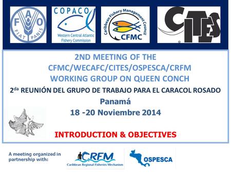 0 2ND MEETING OF THE CFMC/WECAFC/CITES/OSPESCA/CRFM WORKING GROUP ON QUEEN CONCH 2 da REUNIÓN DEL GRUPO DE TRABAJO PARA EL CARACOL ROSADO Panamá 18 -20.