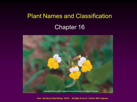 Stern - Introductory Plant Biology: 9th Ed. - All Rights Reserved - McGraw Hill Companies Plant Names and Classification Chapter 16 Copyright © McGraw-Hill.
