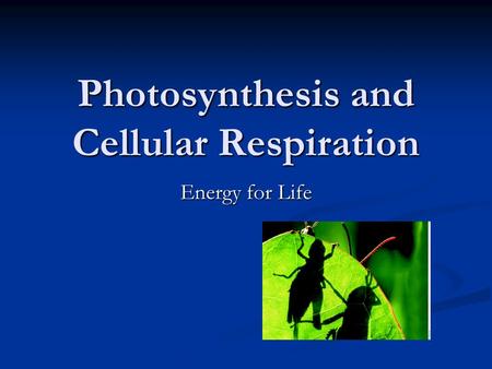 Photosynthesis and Cellular Respiration Energy for Life.
