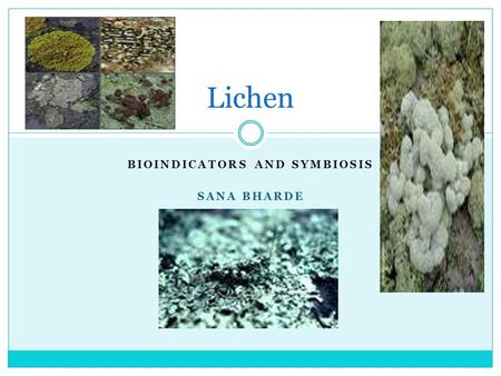 BIOINDICATORS AND SYMBIOSIS SANA BHARDE Lichen. Lichen Symbiosis Mutualism symbiosis Mutualism: both organisms benefit Symbiosis: relationship between.