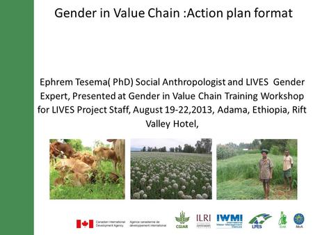 Gender in Value Chain :Action plan format