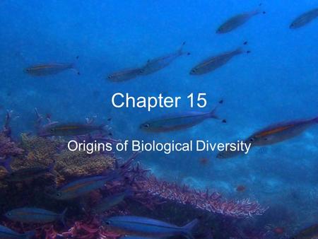 Origins of Biological Diversity